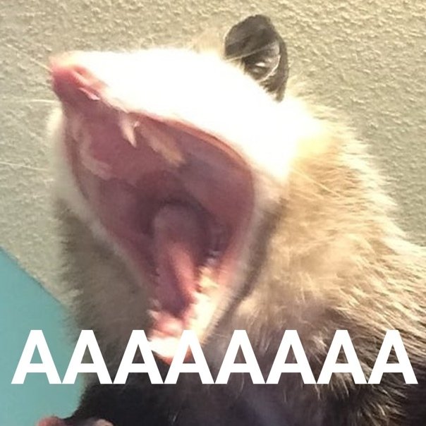 сидеть на паре до 19.30 с повышенным  давлением 

что может быть лучше, ААААаАа