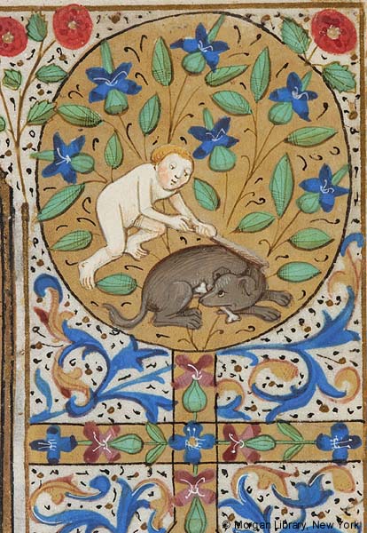 In this manuscript page, David's praying gaze is directed up towards a naked youth playing with a dog.(Morgan Library, MS M.172, f. 078r)