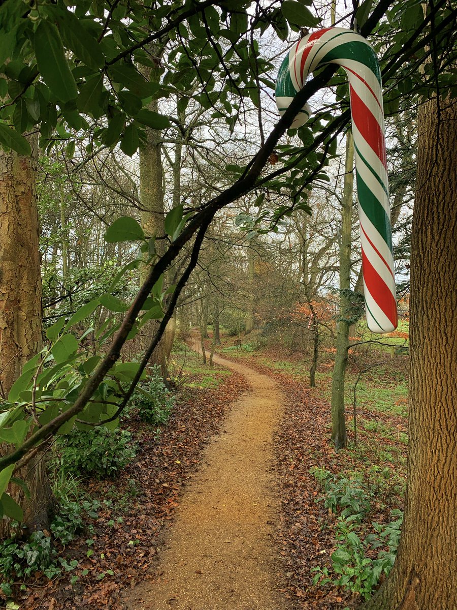 Find 24 giant candy canes – for each day of advent – each carved and painted with a different design. They’re hooked on tree branches on the edge of the woodland path directly behind the house. All outside, in wheelchair- and pushchair-accessible places, to form a trail.