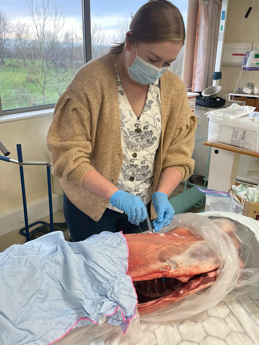 Abi Bosher- Med Staffing & PGME (@abibosher) on Twitter photo Our F2 doctors on the Trauma Training day <a href="/royalhospital/">Chesterfield Royal Hospital NHS FT</a> inserting a respiratory drain ππ well done to our educators and foundation doctors π Our F2 doctors on the Trauma Training day <a href="/royalhospital/">Chesterfield Royal Hospital NHS FT</a> inserting a respiratory drain ππ well done to our educators and foundation doctors π