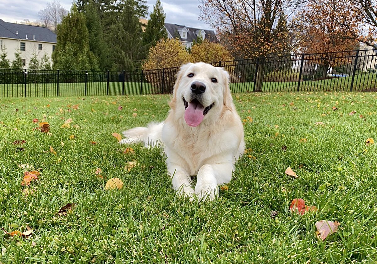 Margs_Mae's tweet image. a real life angel