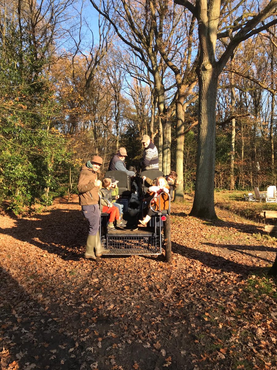YvesVC's tweet image. In deze gekke Corona tijd even gewoon genieten van de natuur. Samen met de kleinkinderen op stap in het bos #natuurlijkgenieten#fun