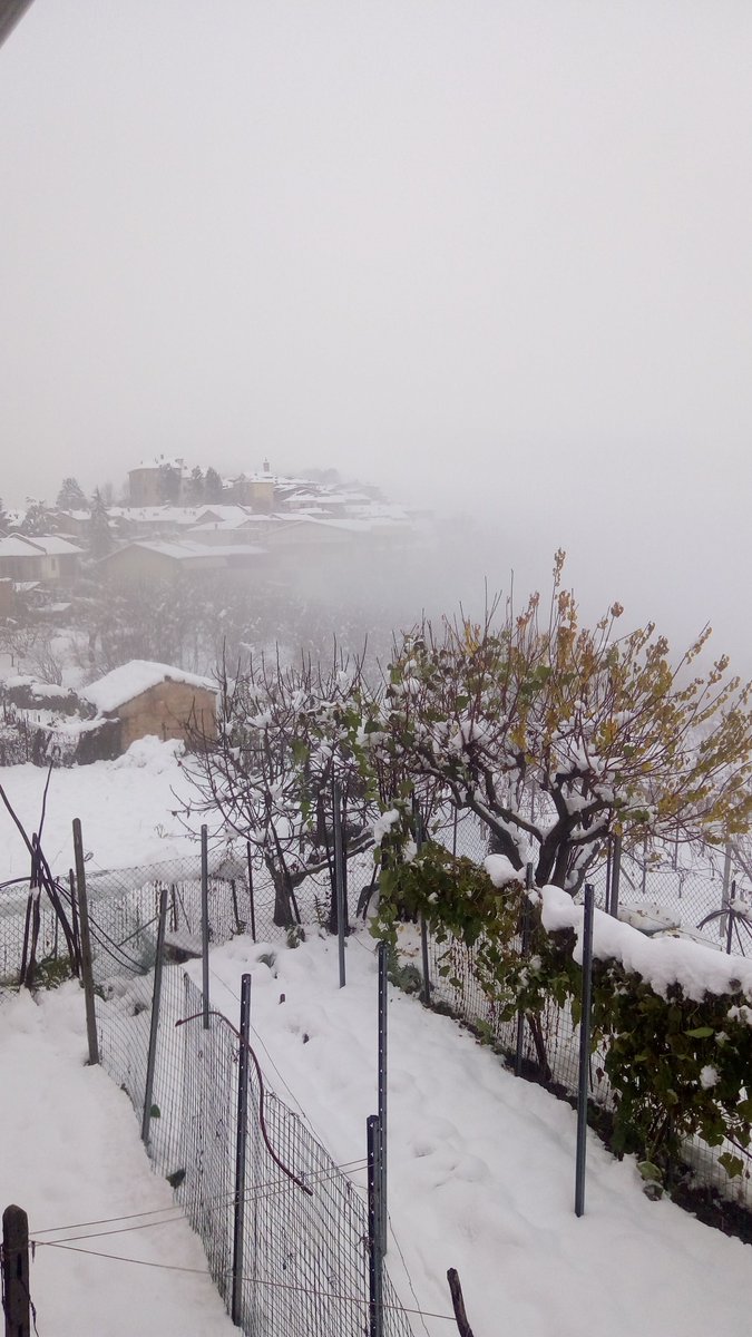 Benvenuto inverno a Verduno! #AlbaInLanghe #Langhe