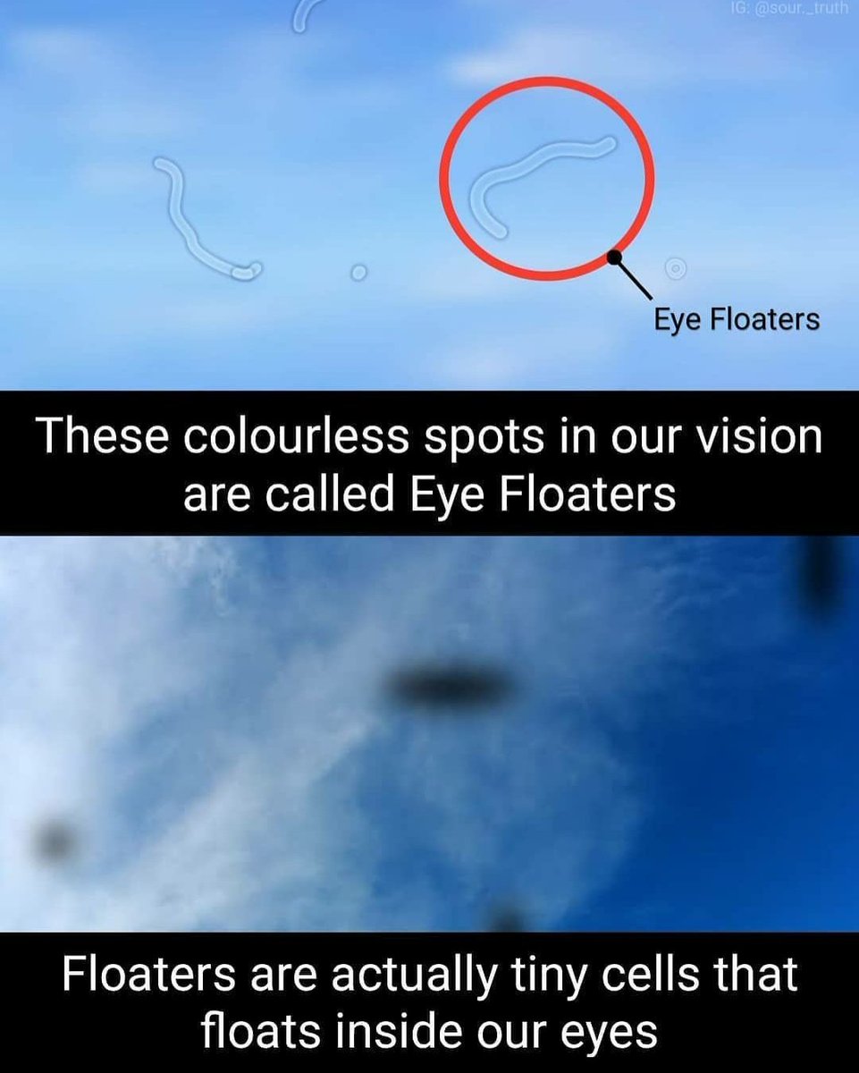ClarkeReion's tweet photo. Now I understand #Fact https://t.co/LIWjTnhN0W