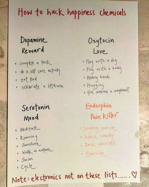 OliBarrett's tweet photo. This year, several friend have turned to one or more of these four chemicals. Do you have a personal favourite? https://t.co/cY2wQa39a1