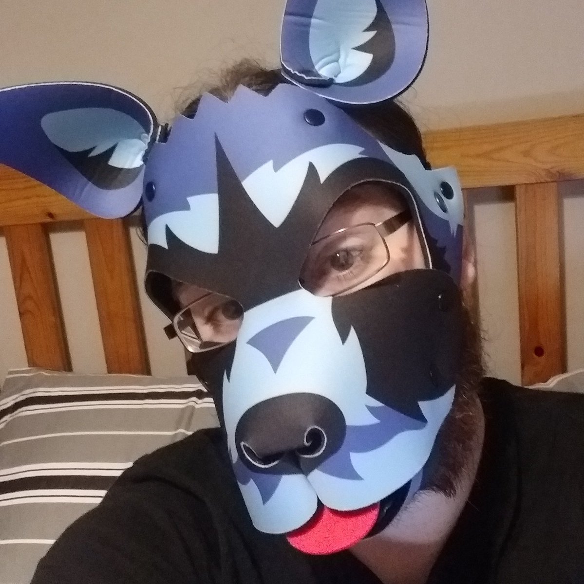 Puptheo3's tweet photo. #NewProfilePic https://t.co/aCpkPTE0In