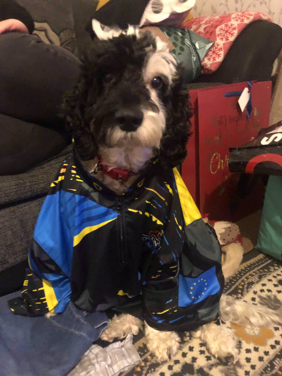 95Lisal's tweet photo. Patch is supporting team Europe in the @MosconiCup @MatchroomPool and my husband in 2018 on his stag do with #jasonshaw #MosconiCup2020 #TeamEurope https://t.co/GMo0fIiWPQ