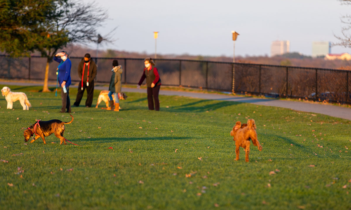You made it to Wednesday, Boston! Don't forget to take a break and bring the dog for a walk.
#FunFact, the earliest sunsets will be next week. So by Winter Solstice on December 21, we'll actually be getting (a little) more sun back at the end of the day. https://t.co/NCGQKSlFTJ