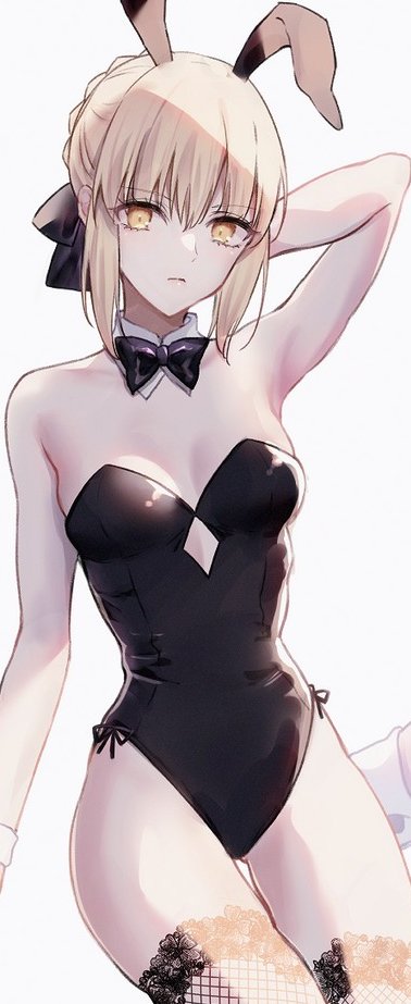 We  dressing  as  bunny  girls  now?