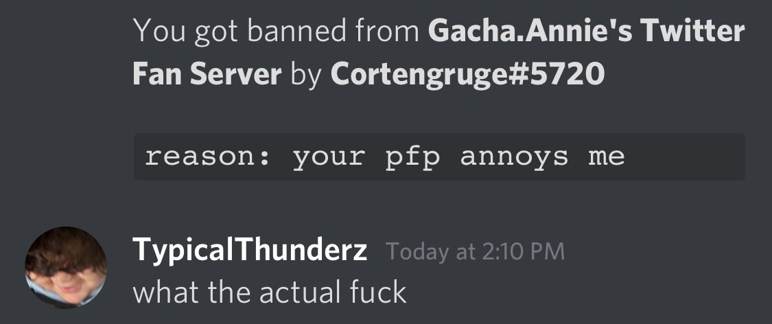 TypicalThunderz tweet media