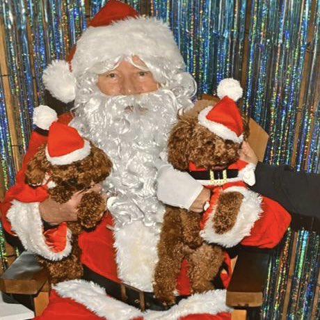 Rumba Foundation tweet media