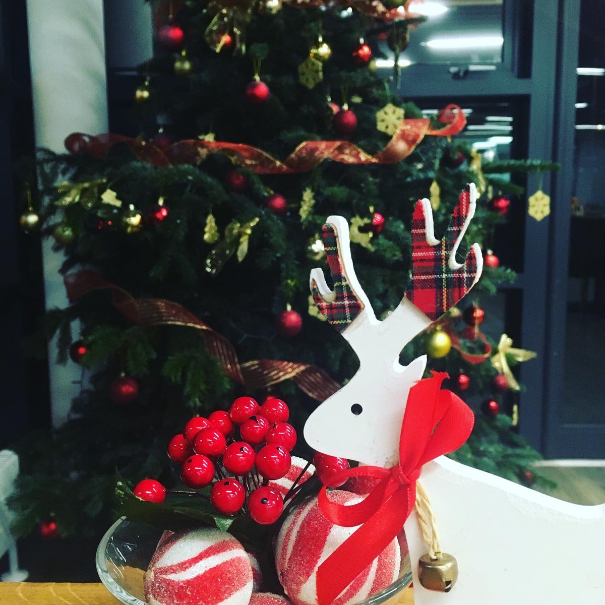 QuantockUCS's tweet photo. Mmm #quantockchristmas menu briefing done! Looking forward to welcoming guests from tomorrow, still lunchtimes available throughout December due to tier 2 restriction cancellations.  Start your Christmas early! https://t.co/Udc3FcUM2j