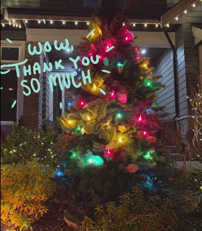 PAHospitalauxil's tweet photo. Give Light Give Hope  https://t.co/iXBuLH02u9   
#givingtuesday #pahas #peacearchhospital #christmastree #givelightgivehope #givehope #light #christmastreelighting #patientcomforts #whiterock #southsurrey https://t.co/r3gDsIp0J7