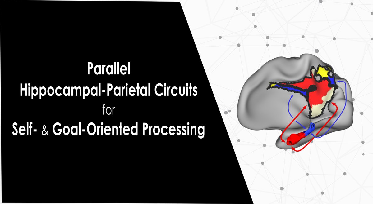 Annie Zheng tweet media