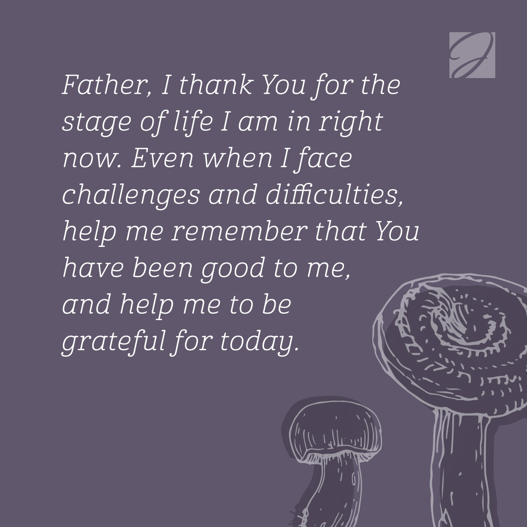 JoyceMeyer's tweet photo. Let me encourage you: don't postpone being glad until everything is perfect—thank God for every single stage along the way. Learn to rejoice and be glad in the Lord, this day and every day...along the way! https://t.co/5e8Q8aFeXH