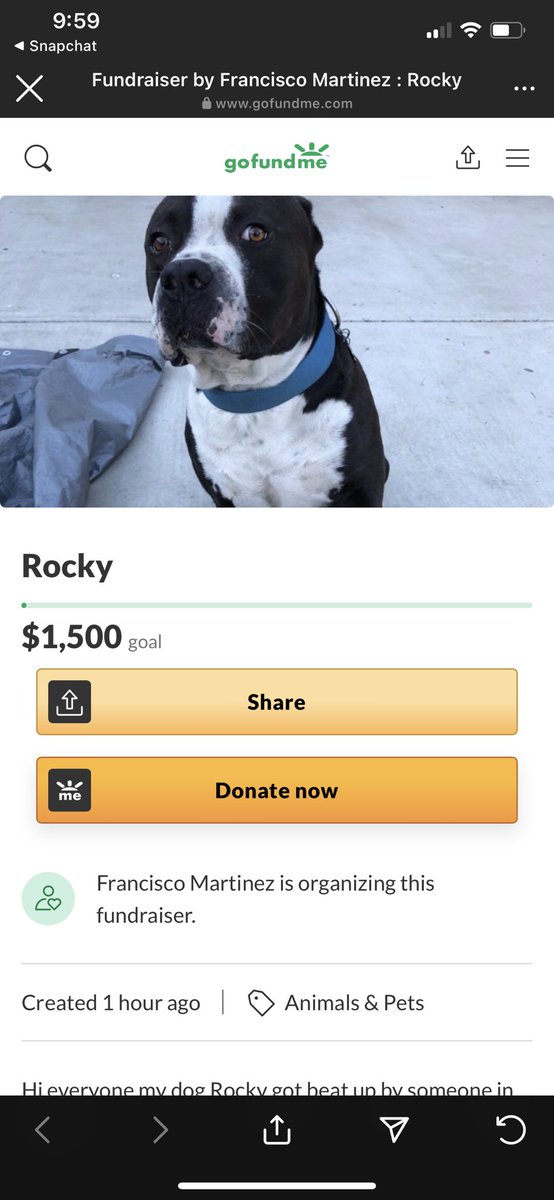 ashleeyym2's tweet photo. Hey guys, my pup got his teeth broken by someone last night... he has his part of his snout cut up too and body punctures.. anything helps 😞 he’s been with us for 7 years never hurt anyone...link in my bio please share😣 https://t.co/5c0cTI4VDu
