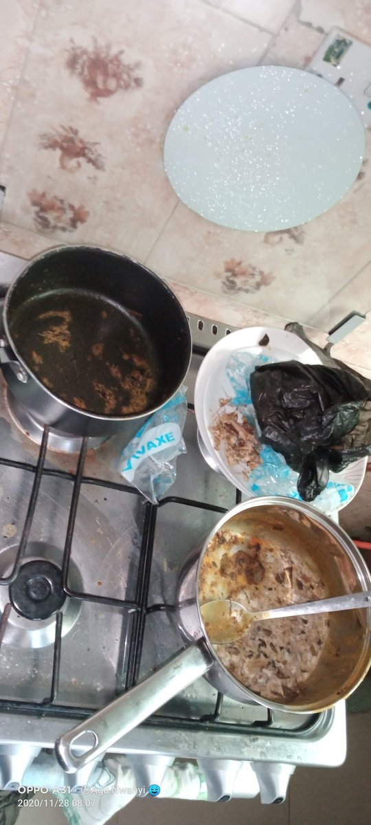 I just need 10 client that I will be cleaning for twice , thrice or even four times in a month , you pay at the end of every month. I clean under your bed , back of your dresser, back of your refrigerator etc , cooking is also inclusive. DM to negotiate price with me.