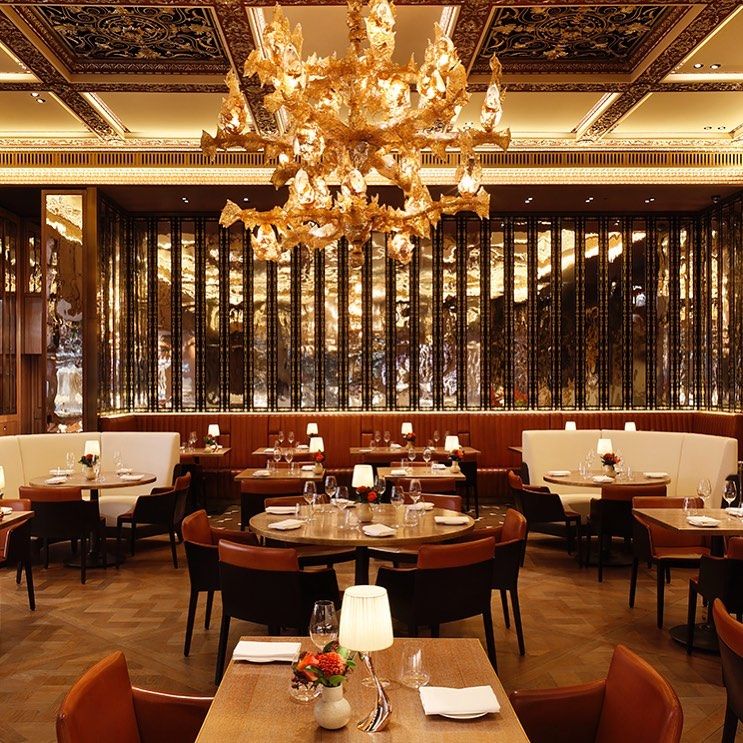 DC_LuxuryHotels's tweet photo. We are delighted to welcome you back to CUT at @45ParkLaneUK and The Grill at @TheDorchester. With CUT featuring the widest and finest selection of Wagyu available in London, and The Grill serving up modern-day British Cuisine, this is a dining experience not to be missed. https://t.co/zFKnh2vuct
