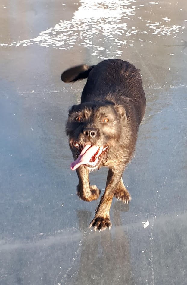 Millwood Library & Writing Centre tweet media