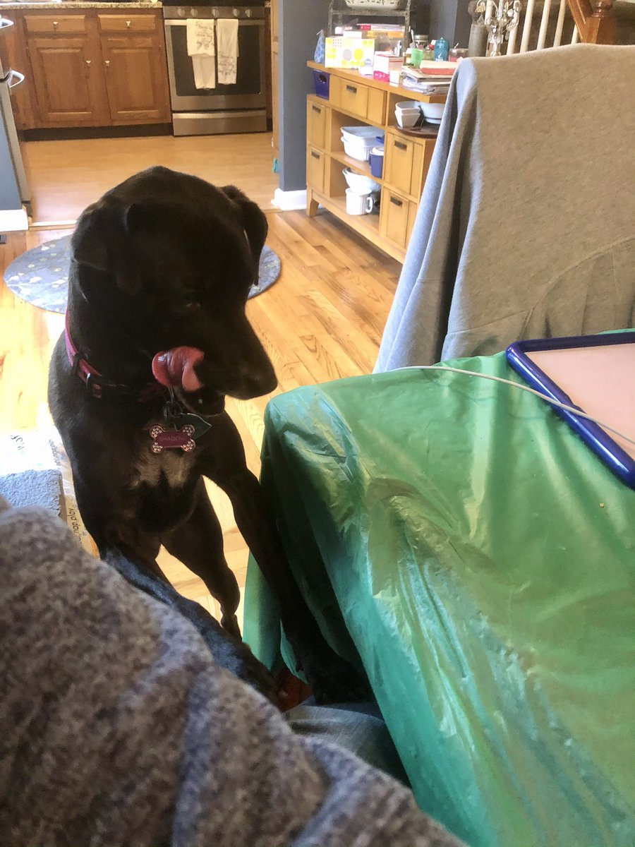 Deerfield School 9 tweet media