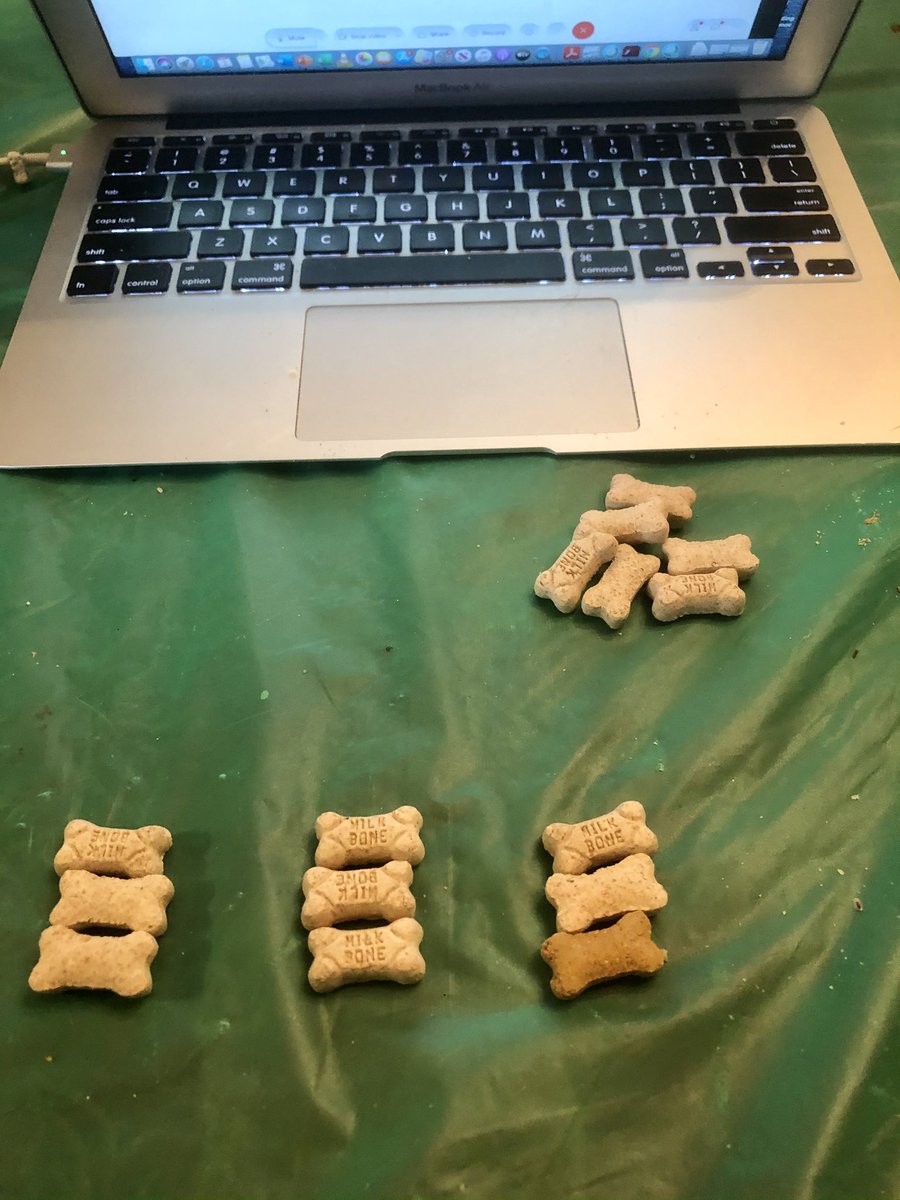 Deerfield School 9 tweet media