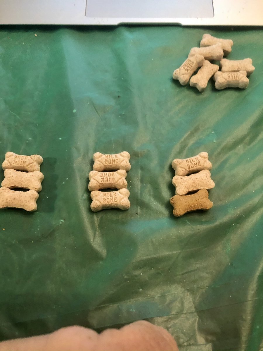 Mr. Schweikardt’s class used the strategy “act it out” with manipulatives to solve division problems. The 1st problem involved sharing dog treats equally. Shadow was his helper. They truly acted out the problem! #LindenLearns @LindenSchoolsNJ @LindenSupe <a href="/ClearyLPS/">Denise Cleary</a>  <a href="/Wschweik/">Walter Schweikardt</a>