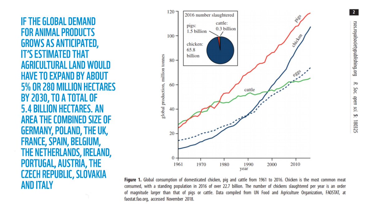 NicholasDCarter's tweet image. We'll continue to be threatened by high risks of pandemics if we don't seriously address the number of animals farmed.

There's not nearly enough media coverage on this. Even the rather obvious drivers of zoonoses, like deforestation, have largely increased in 2020.
