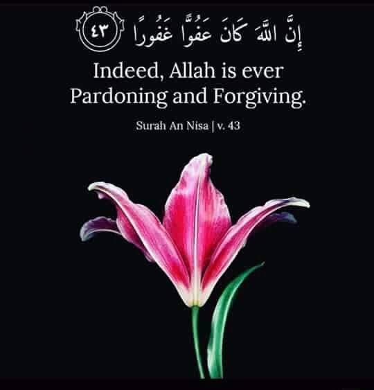 IsmailTurkey's tweet photo. Saaxiib kan ugu Wanaagsan waa Qur'aanka, Qalbi kan ugu wanaagsan uguna Wayn waa Qalbigga Mu'minka, Geesinnimo kan ugu Wayn waa ka Cabsashada Eebbe, ilmo kaa Timaado tan ugu Fiican waa tan kaaga Timaada Cabsida Eebbe, kalgacayl kan ugu Wanaagsan Eebbe Dartiis oo la isku jeclaado. https://t.co/7Y4vjVv4p2