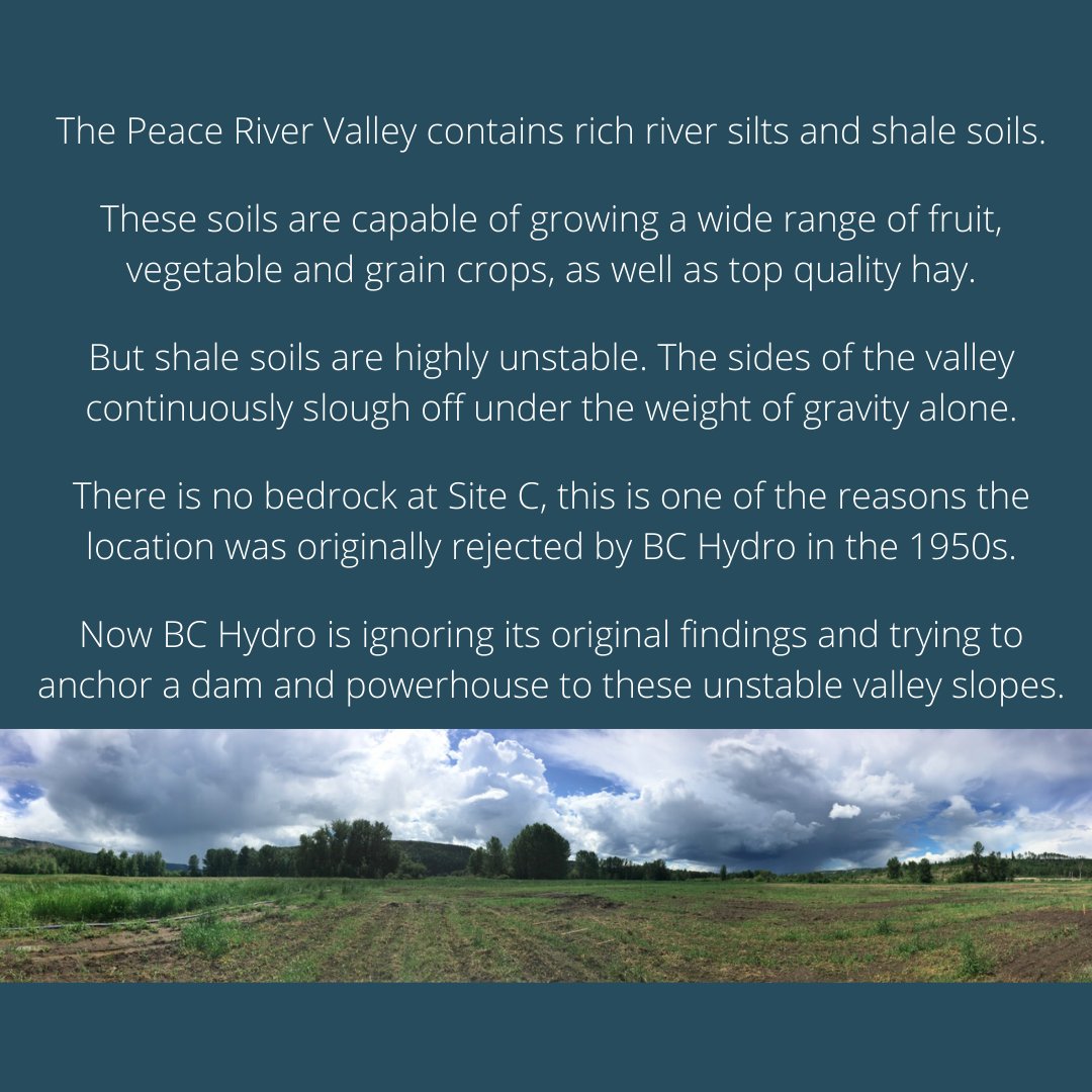 Site C is a megadam currently under construction on the Peace River in BC. Despite violations of treat rights, irreparable environmental damage, the destruction of BC’s best agricultural land, and enormous economic loss, construction of the dam continues.