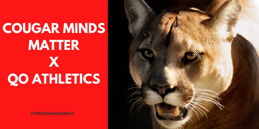QO Wrestling tweet media
