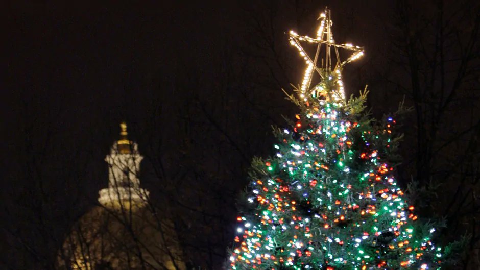 VassKapelosShow's tweet photo. Every year, Nova Scotia sends a Christmas tree to Boston, as thanks for the support Boston provided after the 1917 Halifax Explosion.
@EvanLSolomon talks to Halifax Mayor @MikeSavageHFX and Boston Mayor @marty_walsh about this tradition.
Listen: https://t.co/si5nNJUF4h https://t.co/1wHUaYk4QI