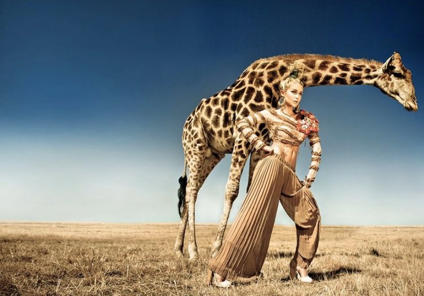 Hey I heard she was a wild one...oooooh! 🎶 Another beautiful shot by <a href="/SamNorval/">sam norval</a> <a href="/EastEndYovth/">✕</a> ❤️🦒 I had to feed this giraffe 8 loaves of bread to get it to stand still...and after the bread was done it literally licked my face as what I thought to be a big “thank you” after 🥰