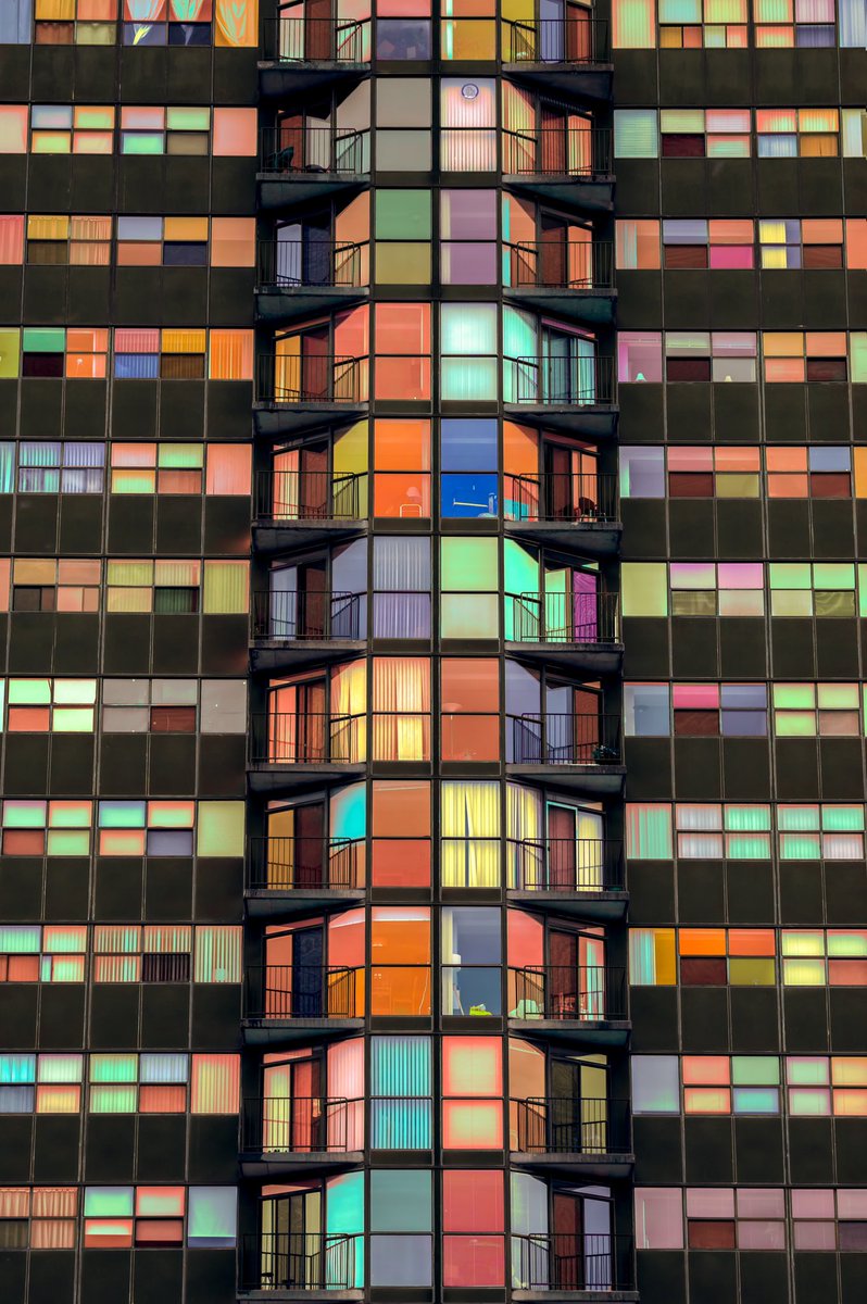 perspective of november ‘19