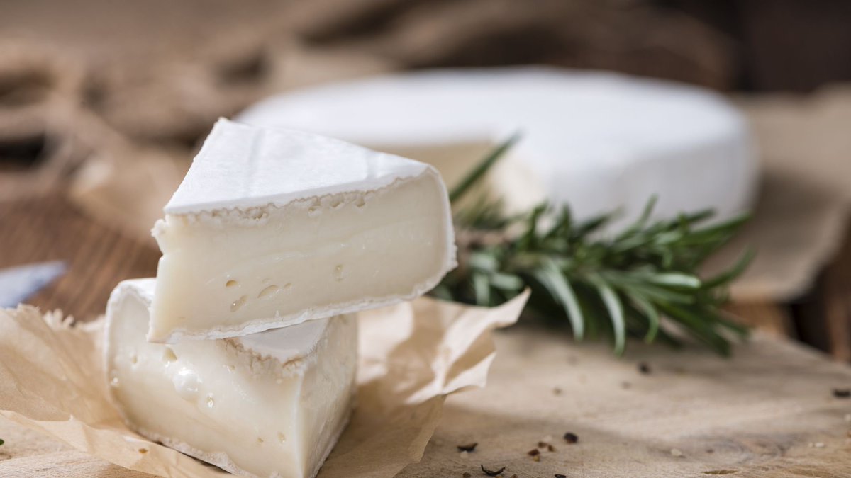 jeri ryan | brieSOFT. "the queen of cheeses"!!