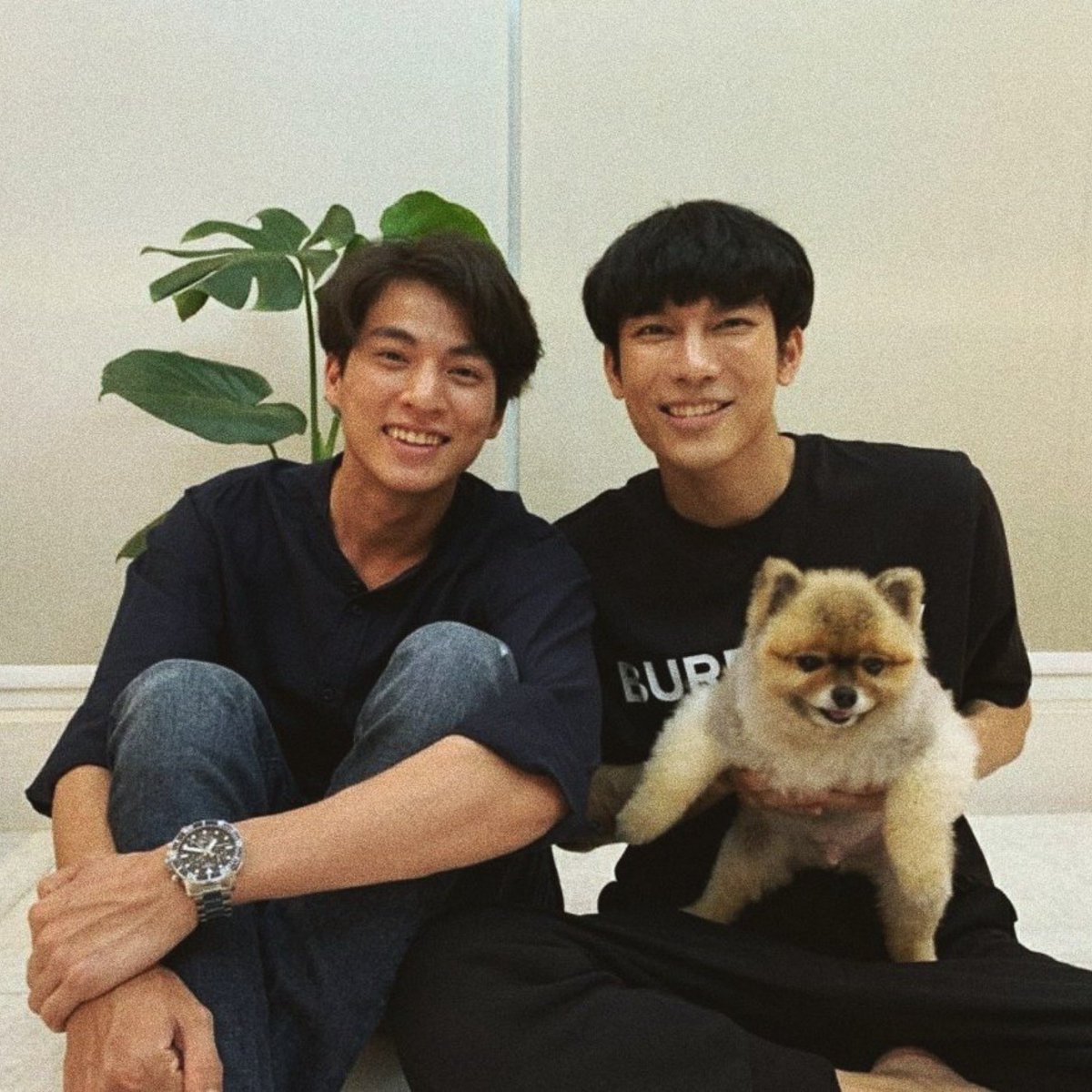 How it started      How it’s going Aka a thread of  #MewGulf that will make you cry 