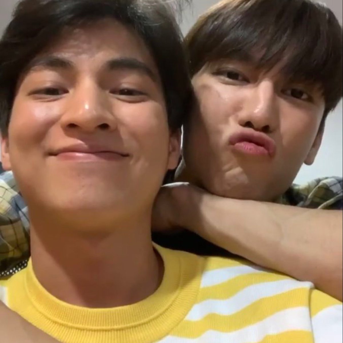 How it started      How it’s going Aka a thread of  #MewGulf that will make you cry 