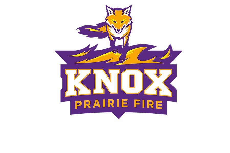 Ali Vesely tweet media