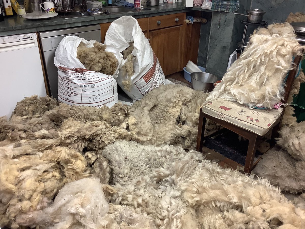 Crookabeck Herdwicks tweet media