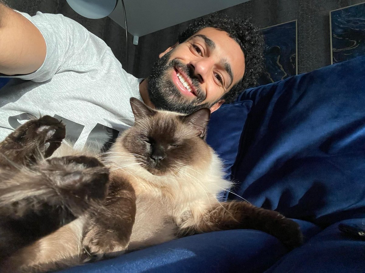 تويتر \ Footballers with animals على تويتر: "Mohamed Salah cuddling up with  his cat https://t.co/WvgDEuyCmf"