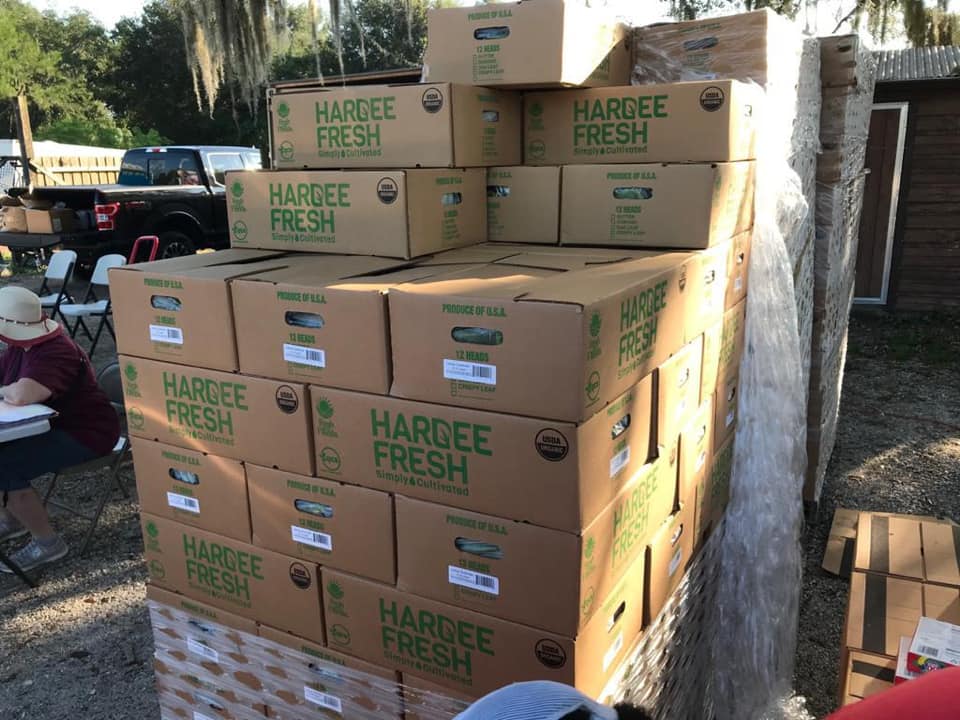 hardee_llc's tweet photo. Cutting Edge Ministries Food Bank giving out Hardee Fresh lettuce! #HF #hardeefresh #organic #community https://t.co/gtgmnAk7I9