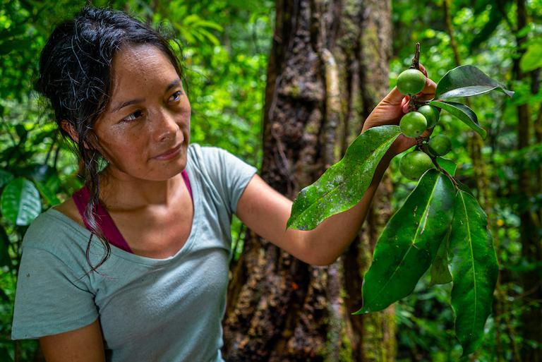 Reforestation projects should include tree diversity targets, too, <a href="/AndyRainforest/">Andrew Whitworth</a> w/ <a href="/osaconservation/">Osa Conservation</a> <a href="/UofGlasgow/">University of Glasgow</a> argues in a new op-ed: news.mongabay.com/2020/12/refore…