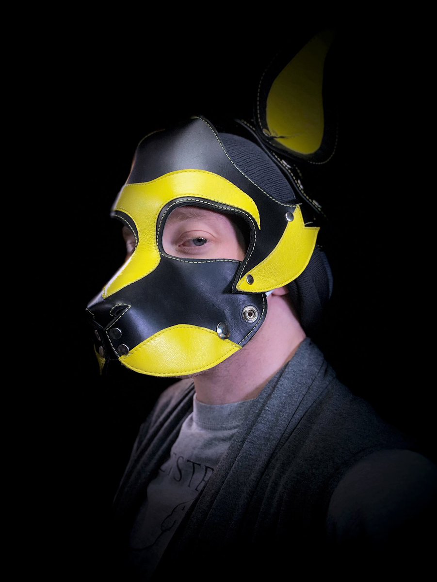 PupHurricane's tweet photo. Designing a custom hood for myself from Wolfstryker Leather. Working hard to get it. This is one hood that I really like! Arrrooooo 🐶🐺
#pupplay #humanpup #gaypup #puppyplay #gaypuppy #humanpuppy #humanpupplay #puphood #puppypride #gaykink #gaypupplay #puppykink #puppyfetish https://t.co/WCS5ZzsxXo