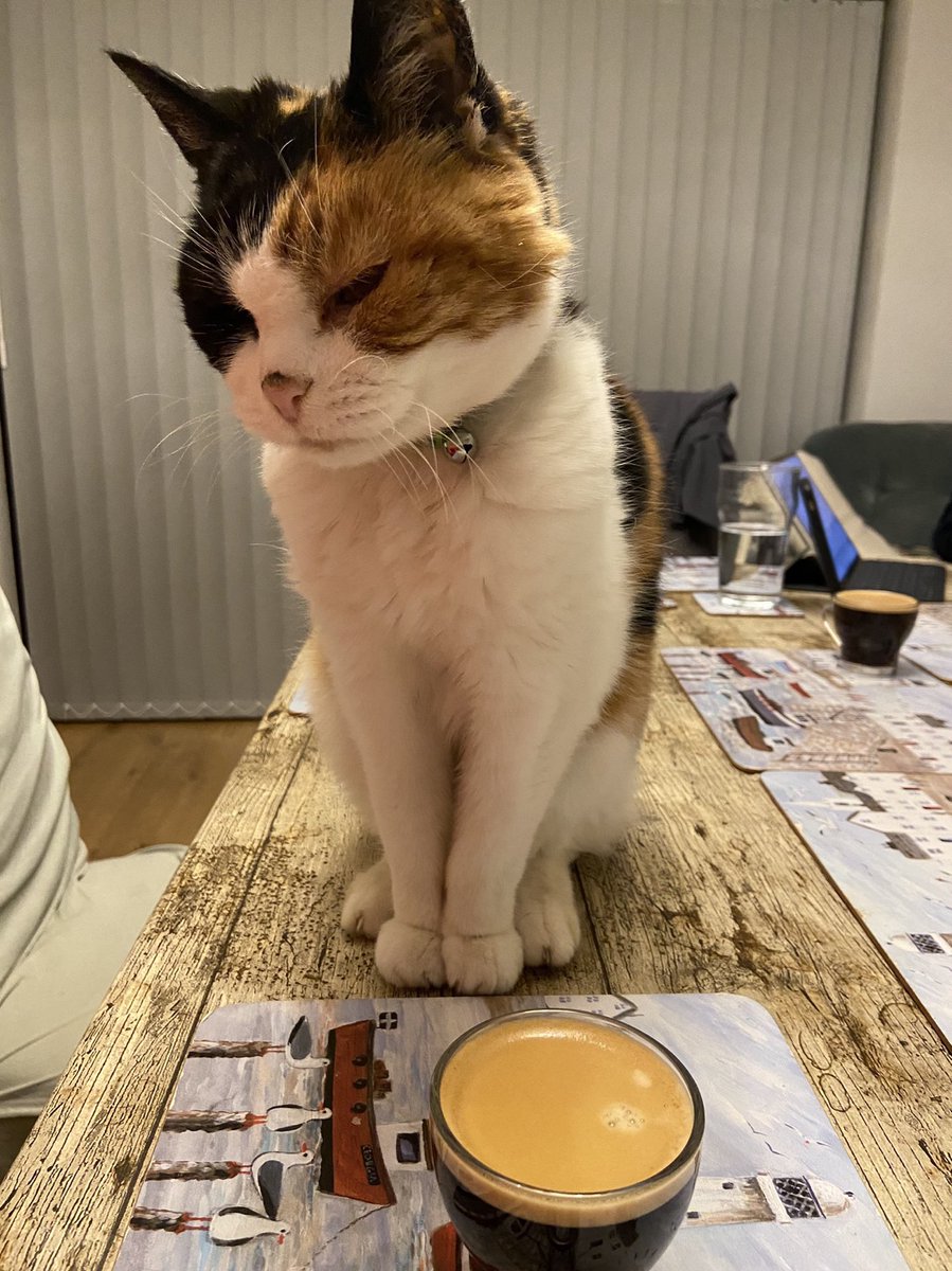 Angela Coumbarides tweet media