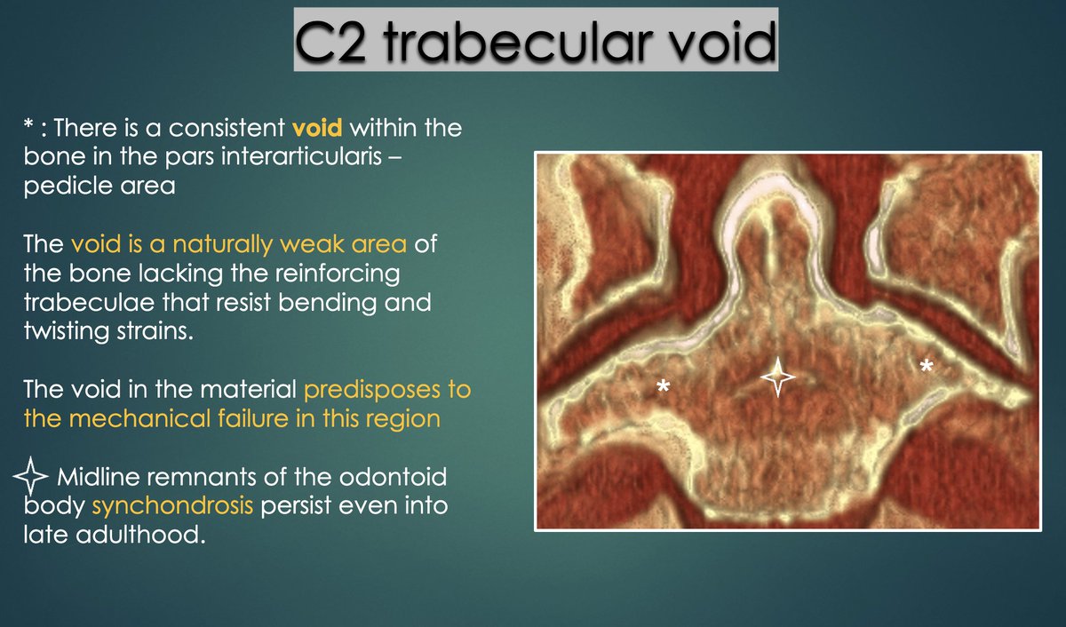 Ellen X Sun, MD tweet media
