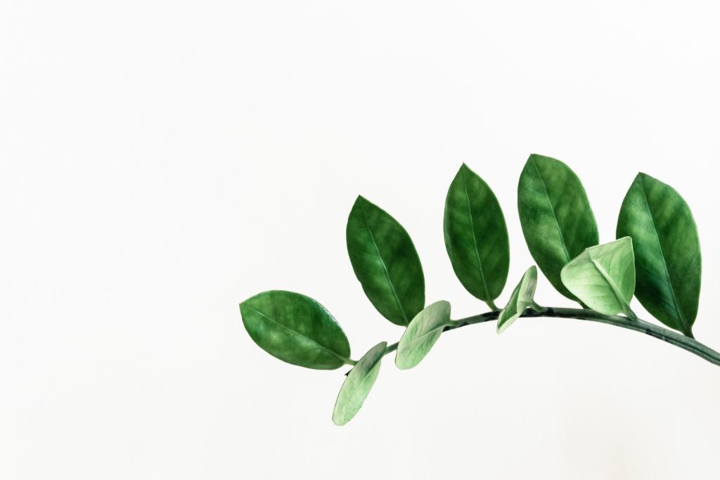 .<a href="/MorningstarInc/">Morningstar, Inc.</a> and <a href="/NewWealthSG/">New Wealth</a> collaborate on ESG offering

spr.ly/6015Hz3n7
