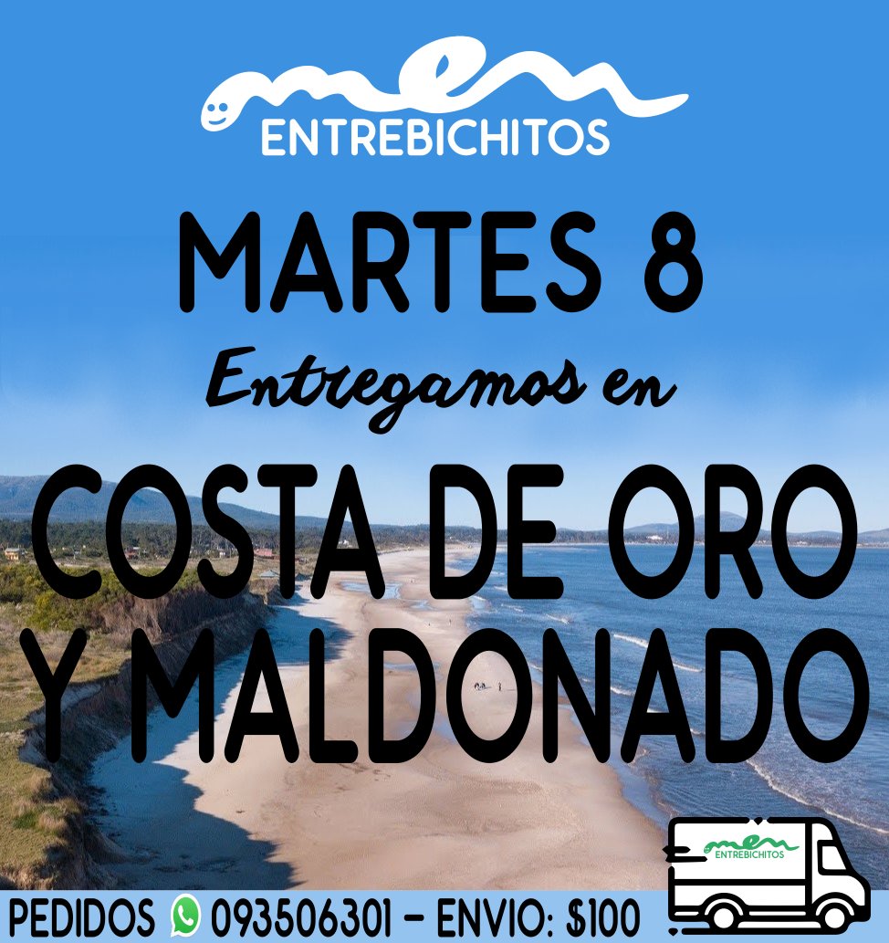 EntrebichitosMEN tweet media