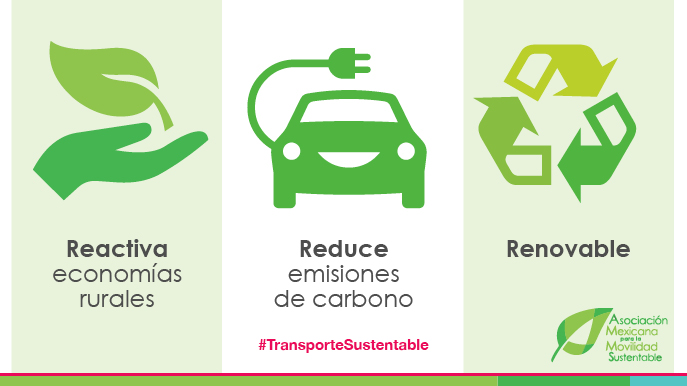 AMMSustentable's tweet photo. ¿Qué hace del #etanol un #biocombustible que nos ayuda a cuidar del #MedioAmbiente? 
#TransporteSustentable https://t.co/BwajwmqHX7
