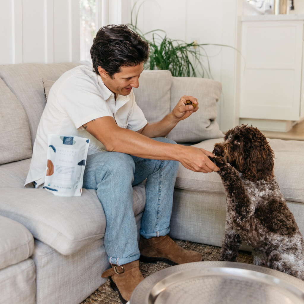 Positive reinforcement!
Turning training into a good ol' fashion game with a delicious reward. Basic skills benefit both the safety of our pup and a healthy home life.

Give our organic canine wellness treats a try with a risk free trial today! 🐾