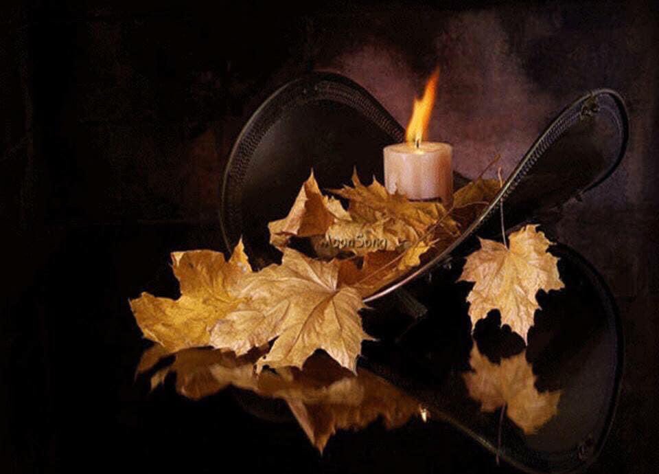JaeJaebbb's tweet photo. ¡¡¡ No te molestes si la gente te busca solo cuando te necesita... Eres privilegiado por ser la vela que alumbra su oscuridad... !!!. https://t.co/8vHnvKclL0