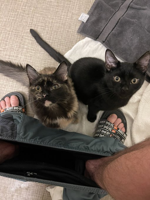 Always by my side ☺️ https://t.co/tmkvTz2naB